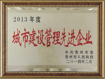 2013年度城市建设管理**企业
