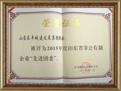 非公有制企业红旗团委
