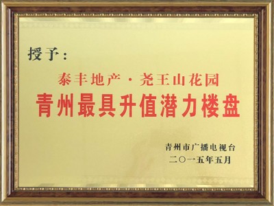 zui具升值潜力楼盘