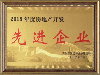 房地产开发**企业