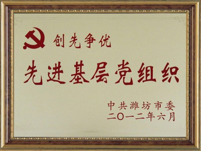 **基层党组织