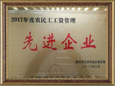 2017年度农民工工资管理**企业