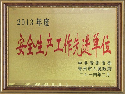 2013年度安 全生产工作**单位