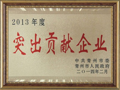 2013年度突出贡献企业
