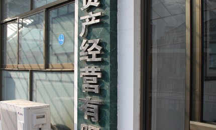 泰丰资产经营公司成立