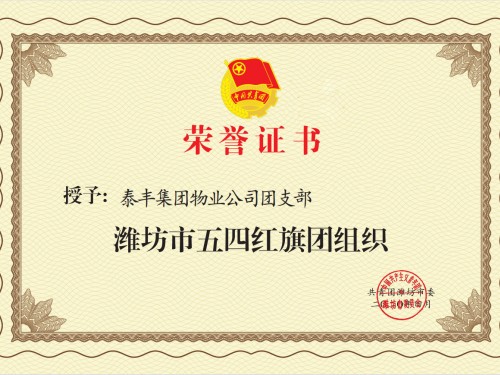 潍坊市五四红旗团组织