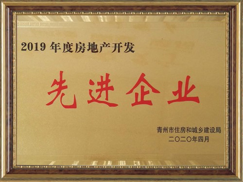 2019年度房地产开发先 进企业