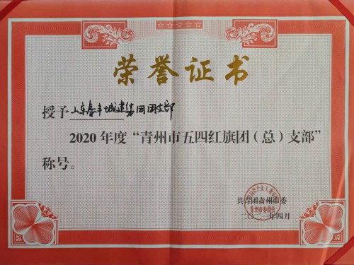  2020年度”青州市五四红旗团支部“
