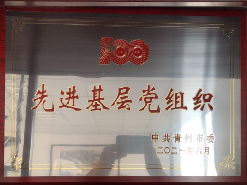 建党100周年 先 进 基层党组织