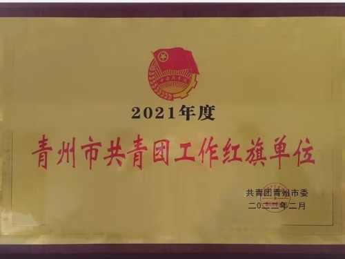 2021年度”青州市共青团工作红旗单位“