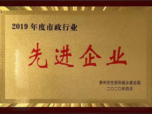 2019年度市政行业先 进企业