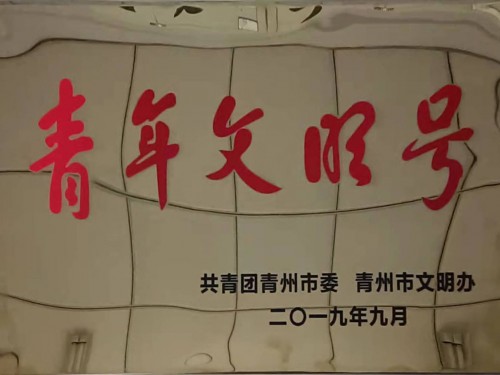 供热公司被授予”青年文明号“