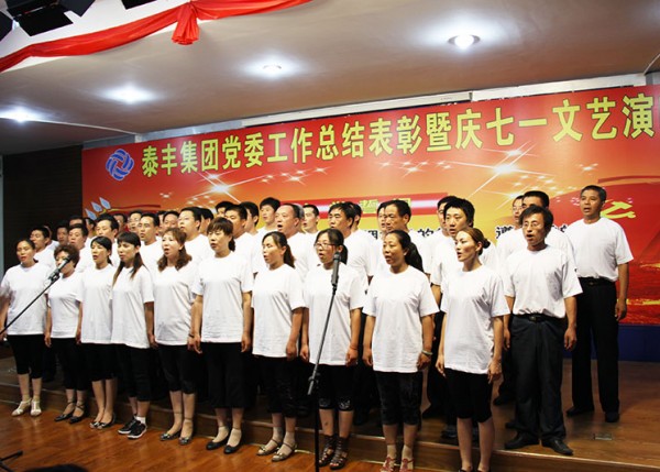 擒住建党90周年总结表彰暨庆七一文艺表演