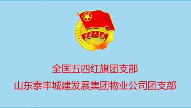 泰丰物业公司团支部喜获 国 家 级 表彰！